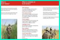 Army Library and Information Services (ALIS) - BFG Notice Board