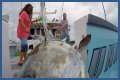 Who has the most expensive boat on Wicked Tuna?